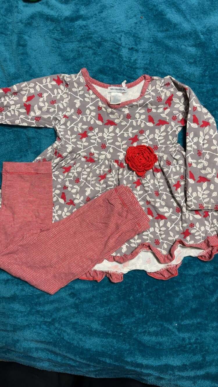 Tara Collection Tunic and Legging Set Size 4T/4 Gray Red Birds